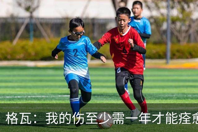 格瓦：我的伤至少需一年才能痊愈，即使感到疼痛也必须克服它
