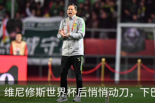 维尼修斯世界杯后悄悄动刀，下巴大变样，下赛季要跟穆里尼奥联手？